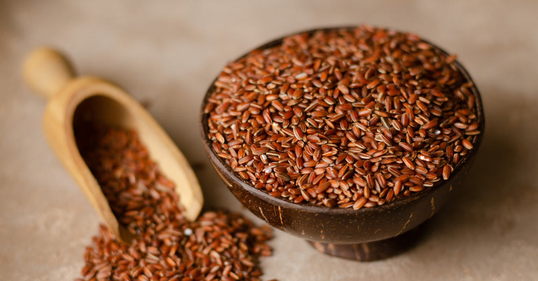 Poongar Rice – The Iron-Rich "Women’s Rice" for Hormonal Balance & Vitality