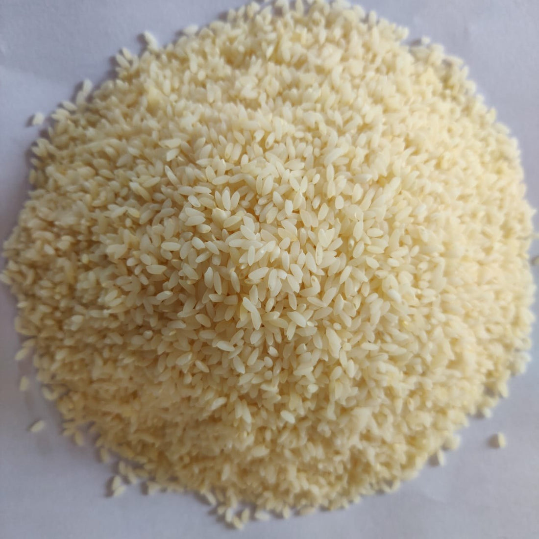 Jeerakasala Rice – Kerala’s Fragrant Jewel for Biryanis & Blood Sugar Control